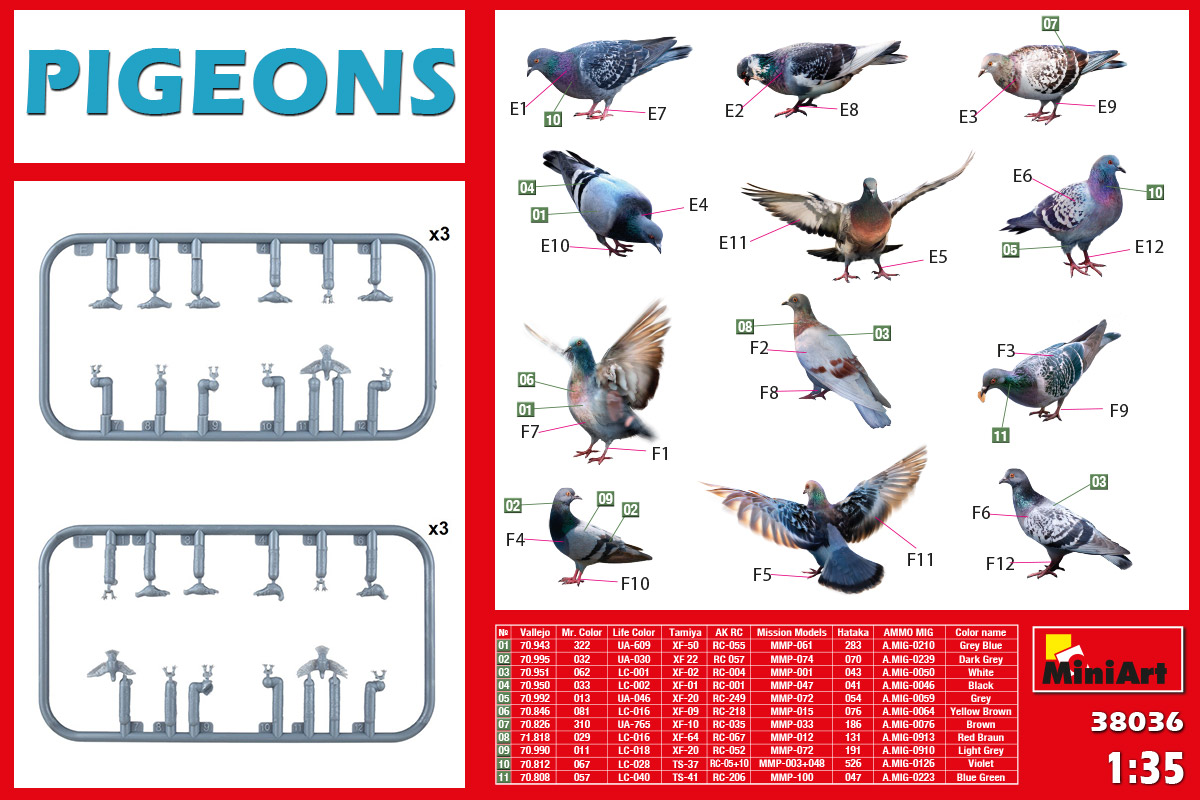 38036 Pigeons - Tauben