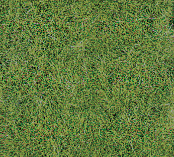 1870 2 Wildgrasmatte Wiesengrün 40x24 cm