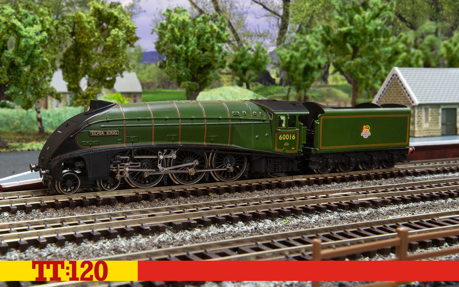 TT3008M BR Dampflok Class A4 4-6-2 Era 4