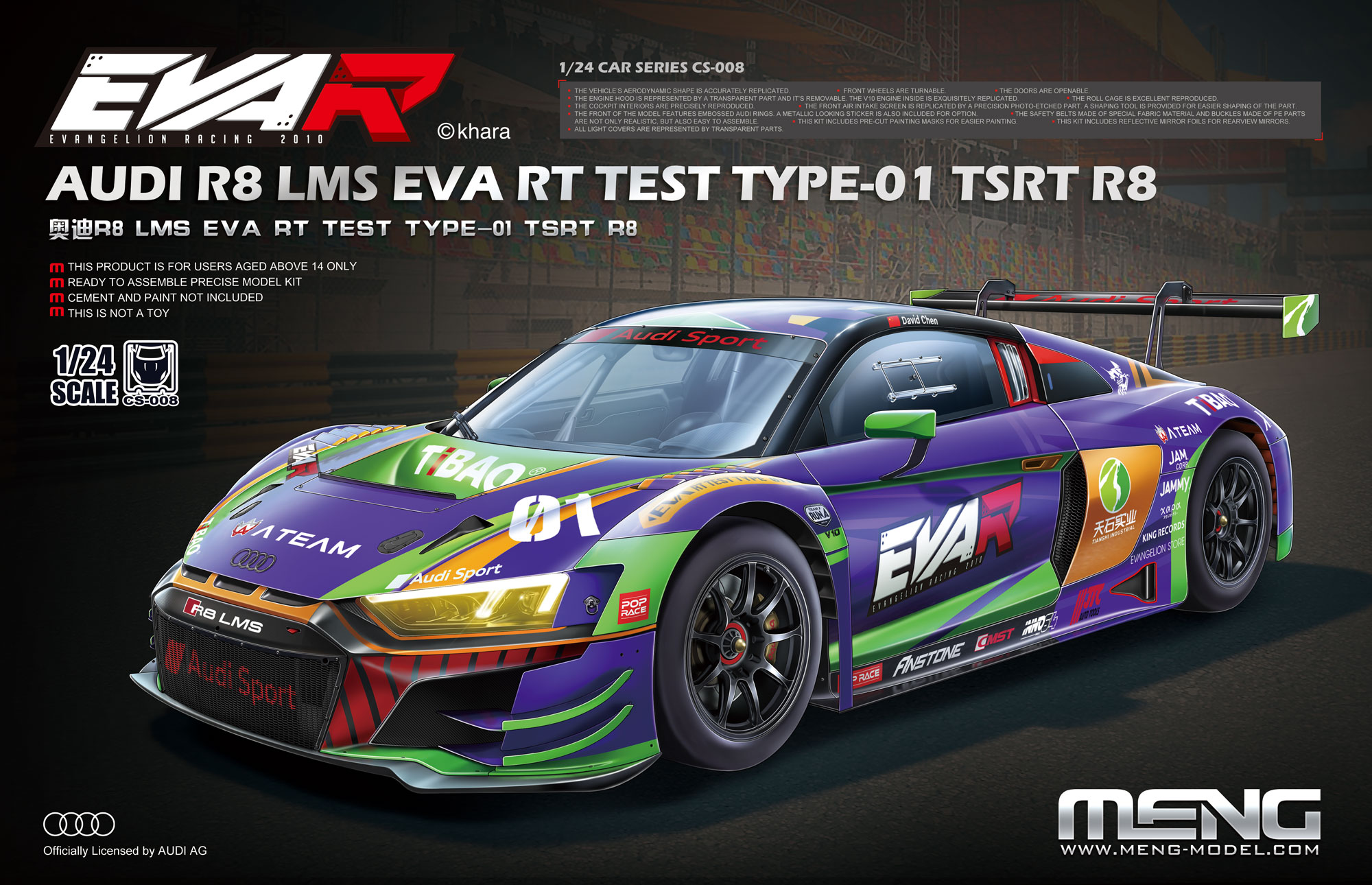 CS-008 Audi R8 LMS EVA RT Test Type TSRT R8