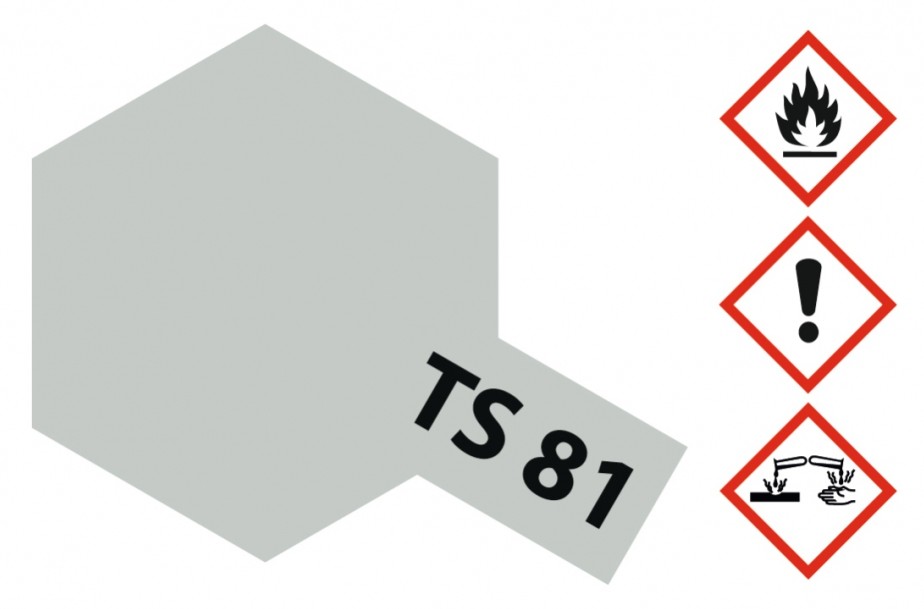 85081 TS81 - Spray British Navy Gray matt 100m