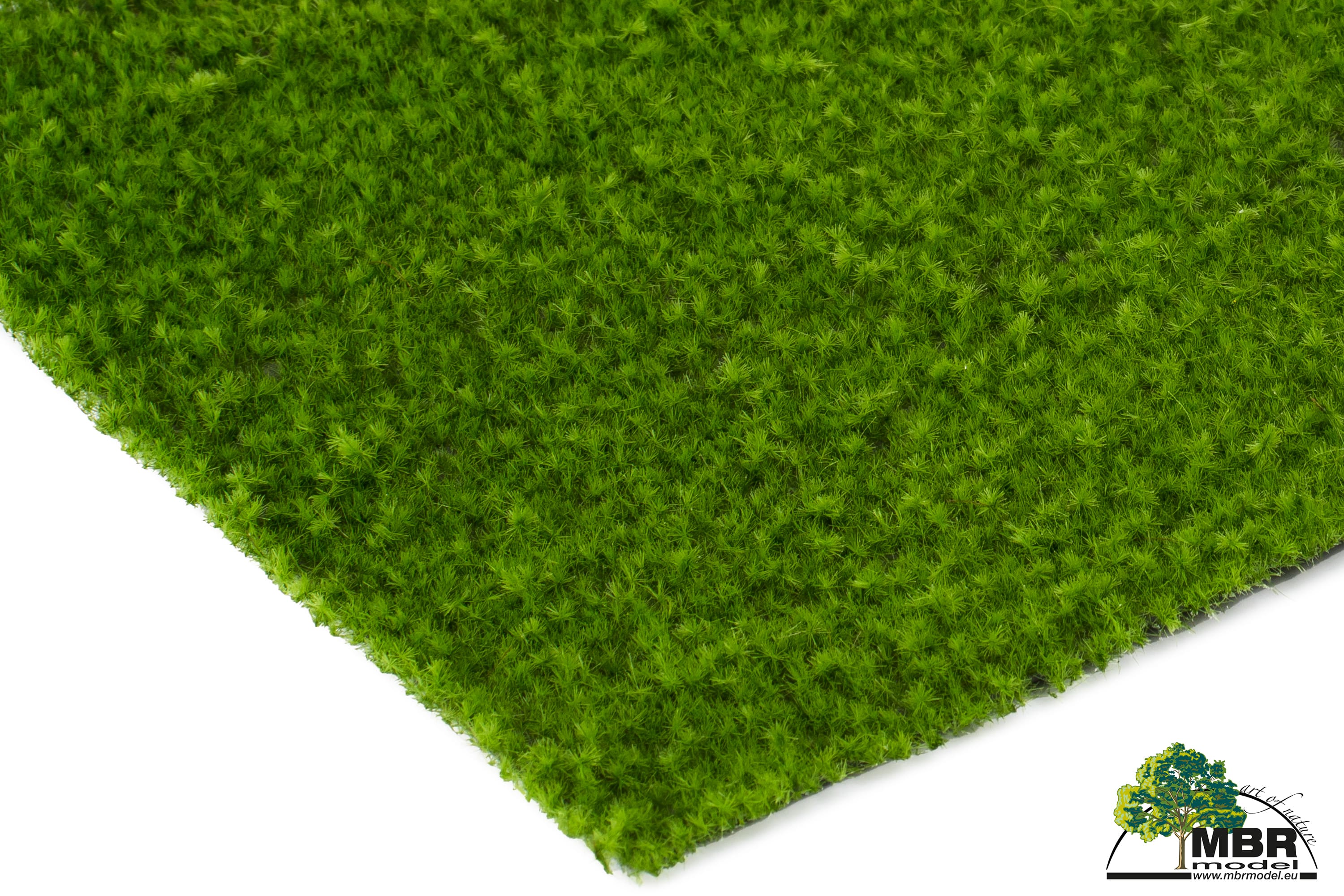 55-1001 Gras 1