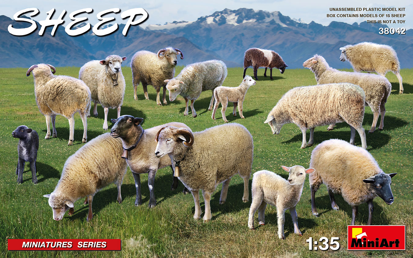 38042 Sheep / Schafe