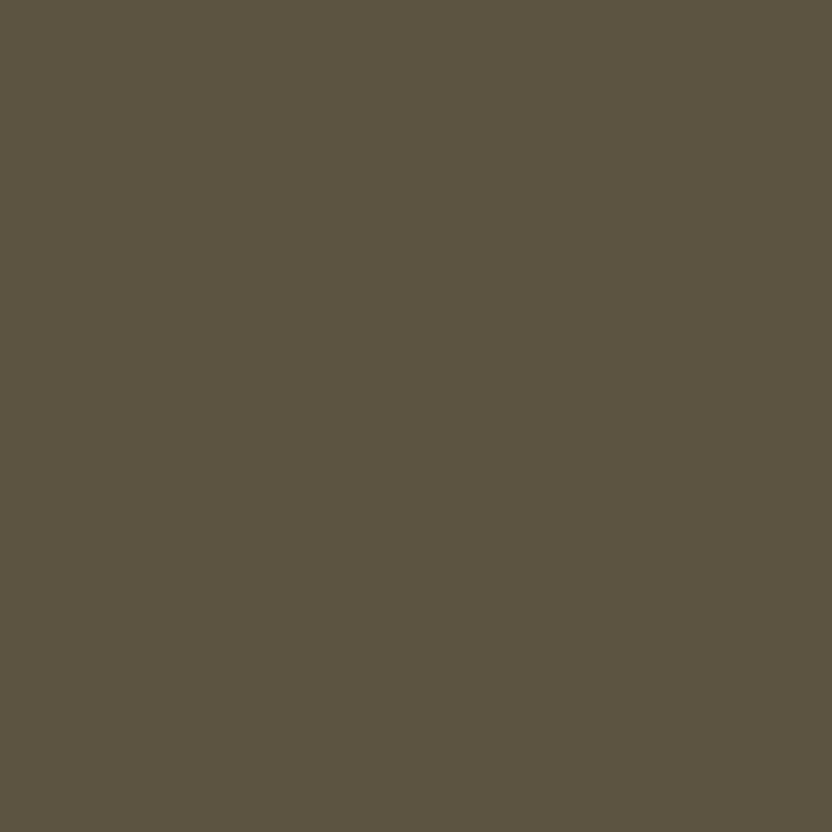 Vallejo 71029 Erdfarben dunkel, 17 ml