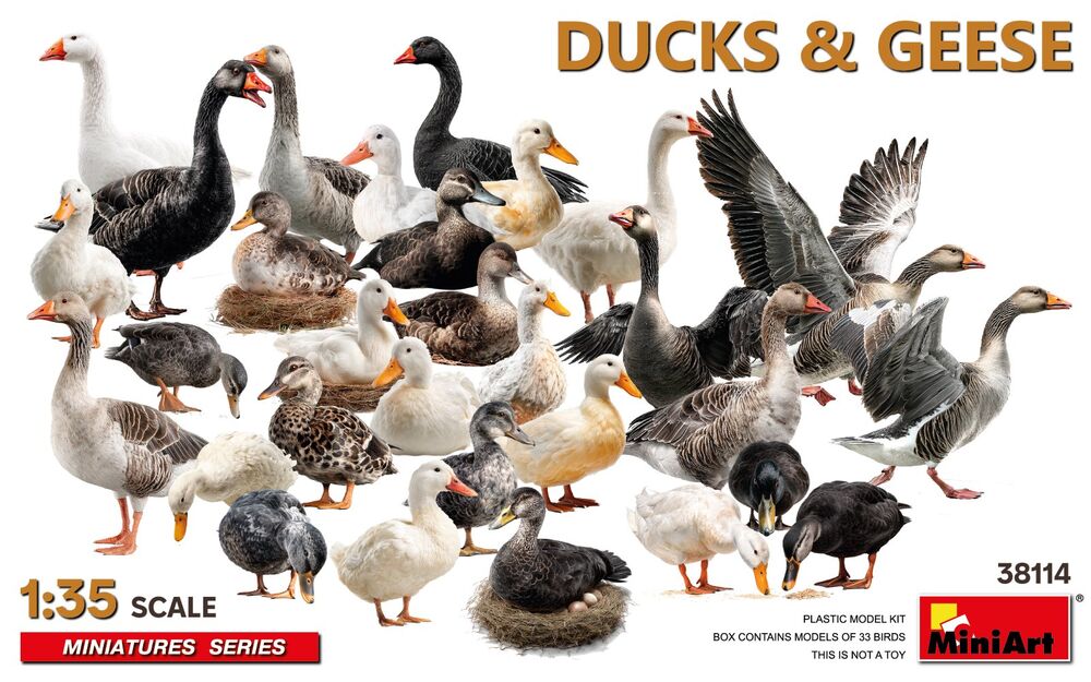 38114 Ducks & Geese - Enten & Gänse