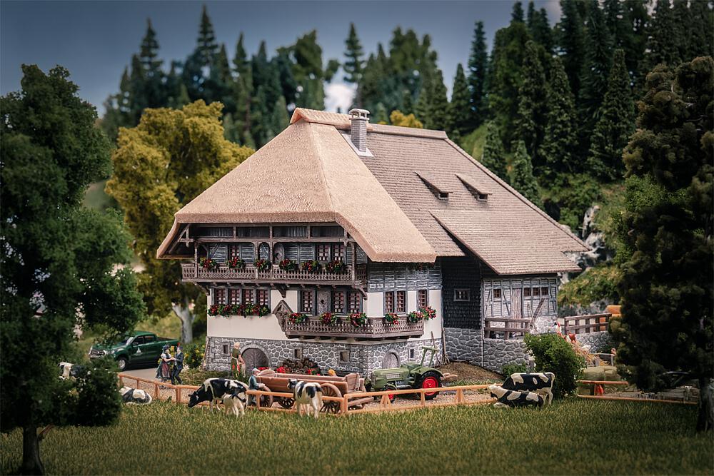 130013 Jubiläumsmodell Schwarzwaldhof