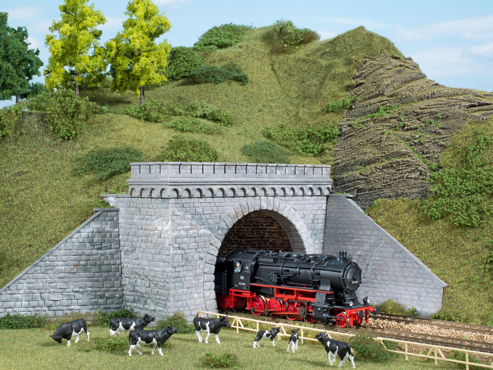 11343 Tunnelportale zweigleisig