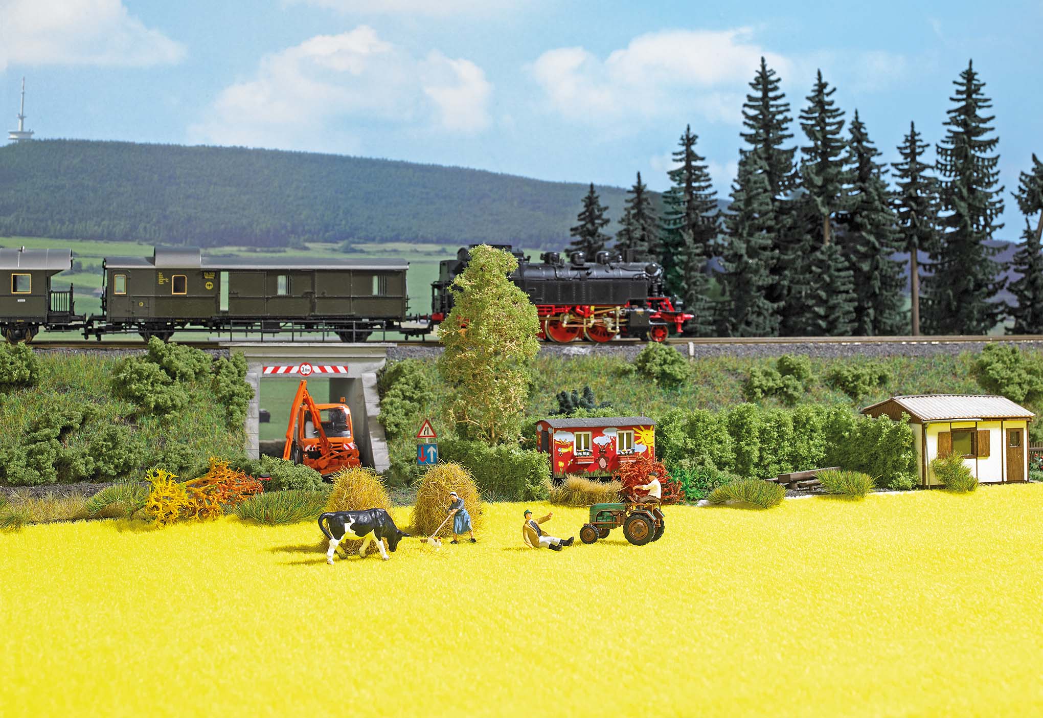 9771 Rapsfeld