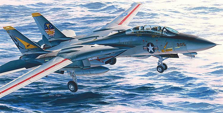 607246 F-14A Tomcat-US Navy Carrier Borne Fight