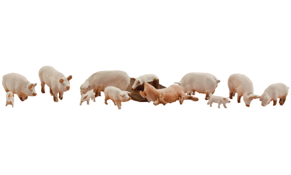 WA1957 HO Yorkshire Pigs