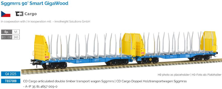 T657009 CD Cargo Holztransportwg Sggmrss'90 Ep.6