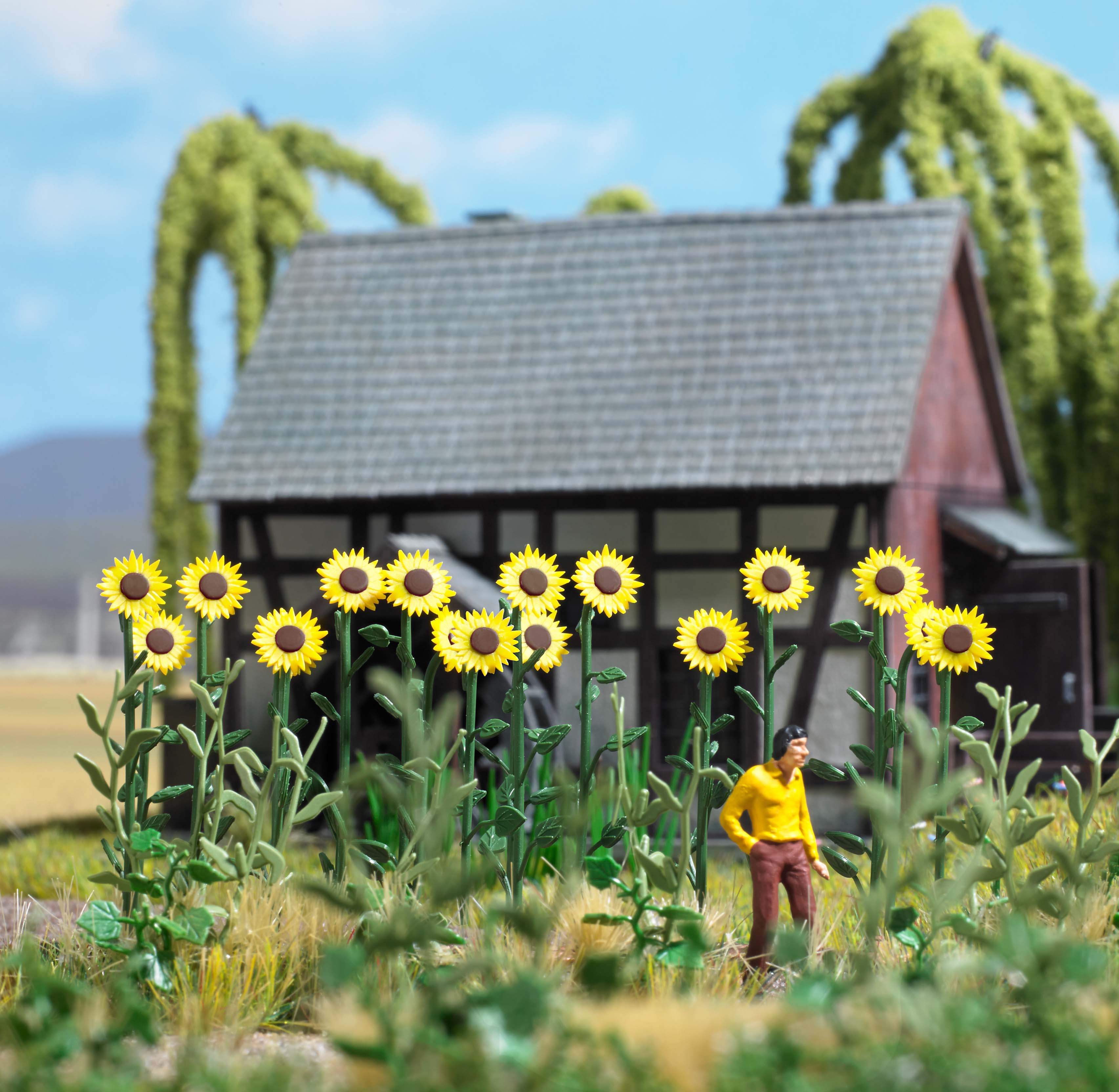 1261 Riesen Sonnenblumen 18 St.
