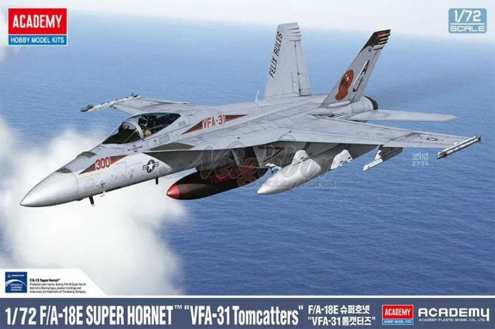 12595 F/A-18E Super Hornet