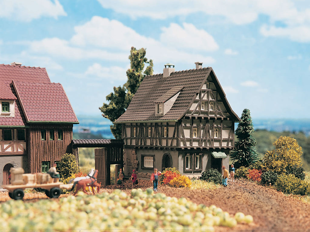 49530 Fachwerkhaus mit Hoftor