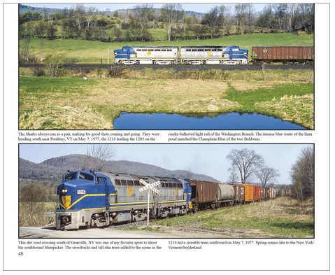Morning Sun 7383 D&H Railway,Best J Plant