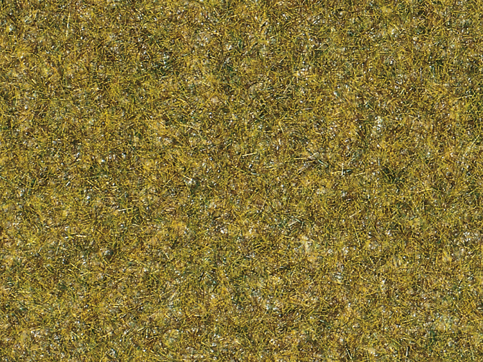 75592 Grasfasern Wiese hell 2 mm
