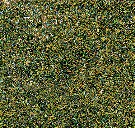 1872 2 Wildgrasmatte Bergwiese 40x25 cm