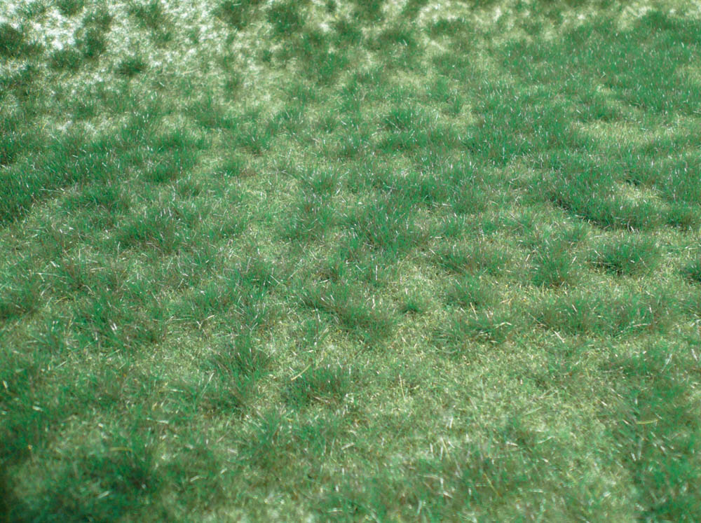 1843 realistic-Wildgras Moorboden 45x17 cm
