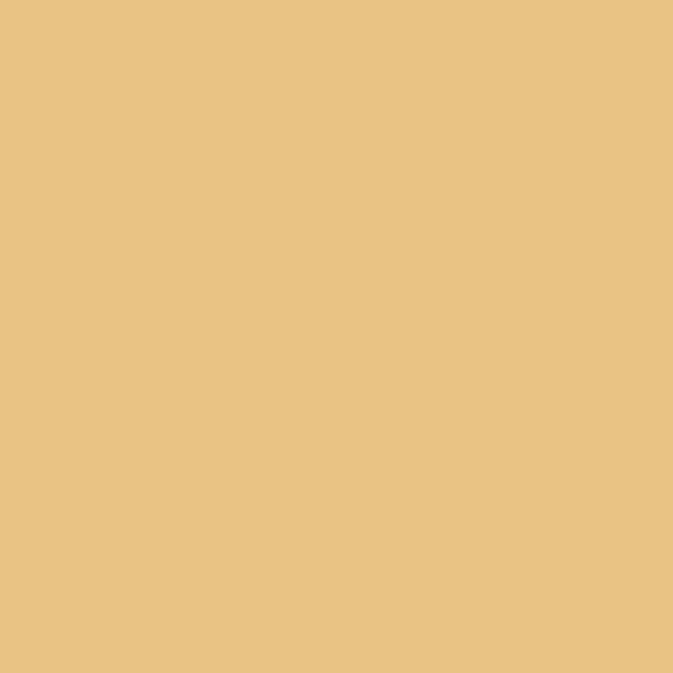71074 Feldbraun metallic, 17 ml