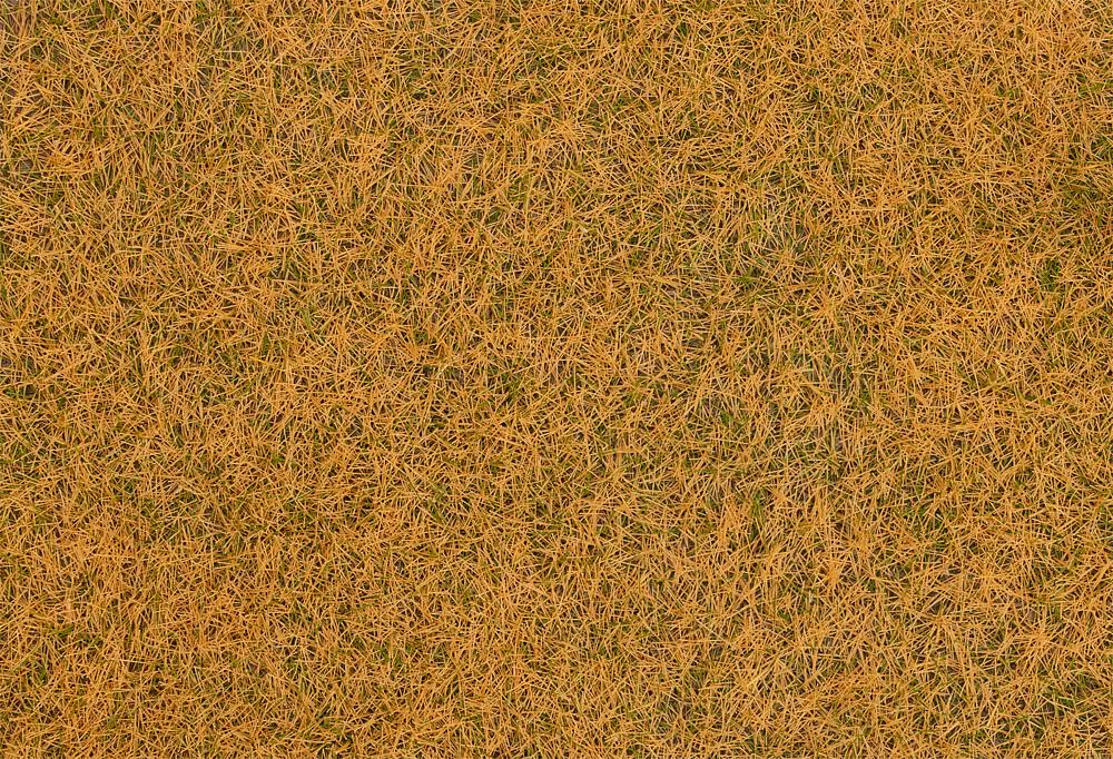170260 Streufasern Wildgras, verdorr