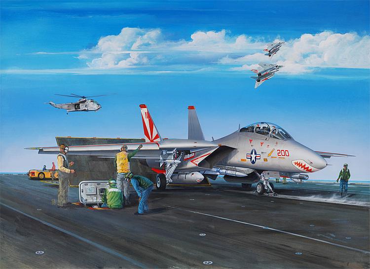 753201 F-14 ATomcat