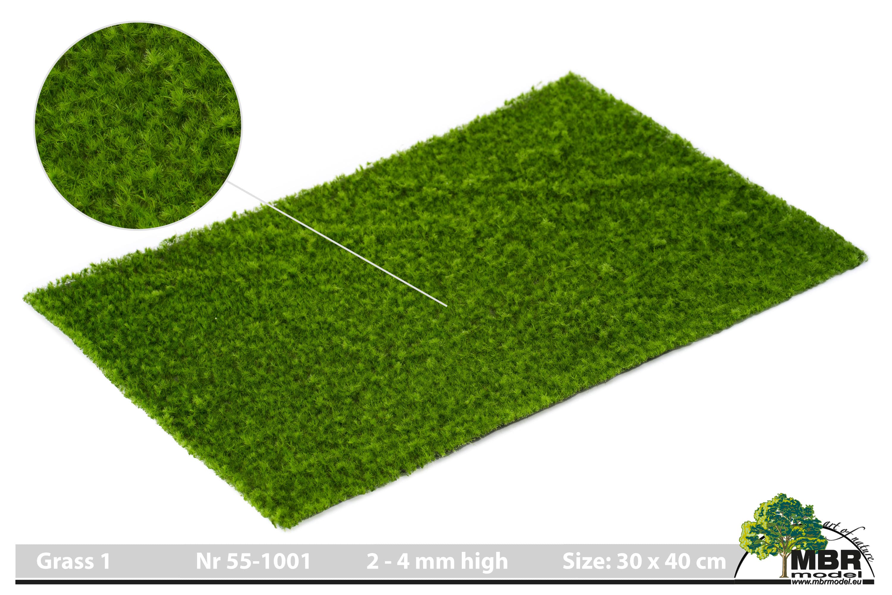 55-1001 Gras 1