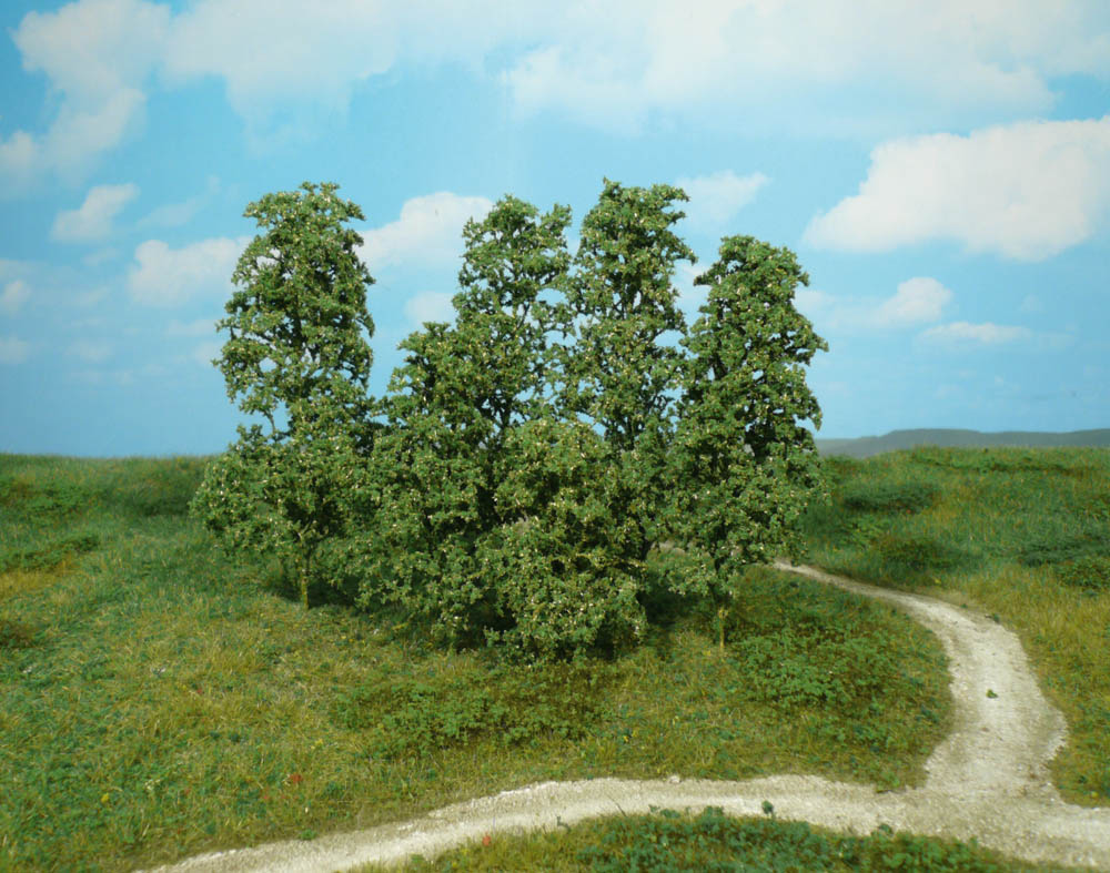 1642 12 Naturbäume dunkelgrün