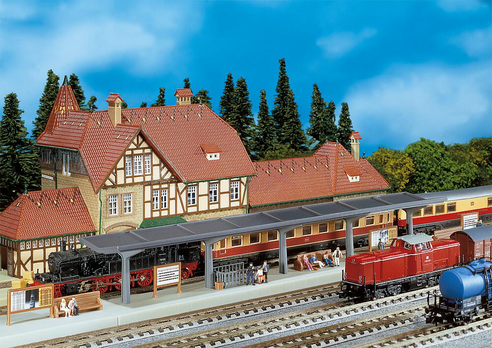 222125 Bahnsteig
