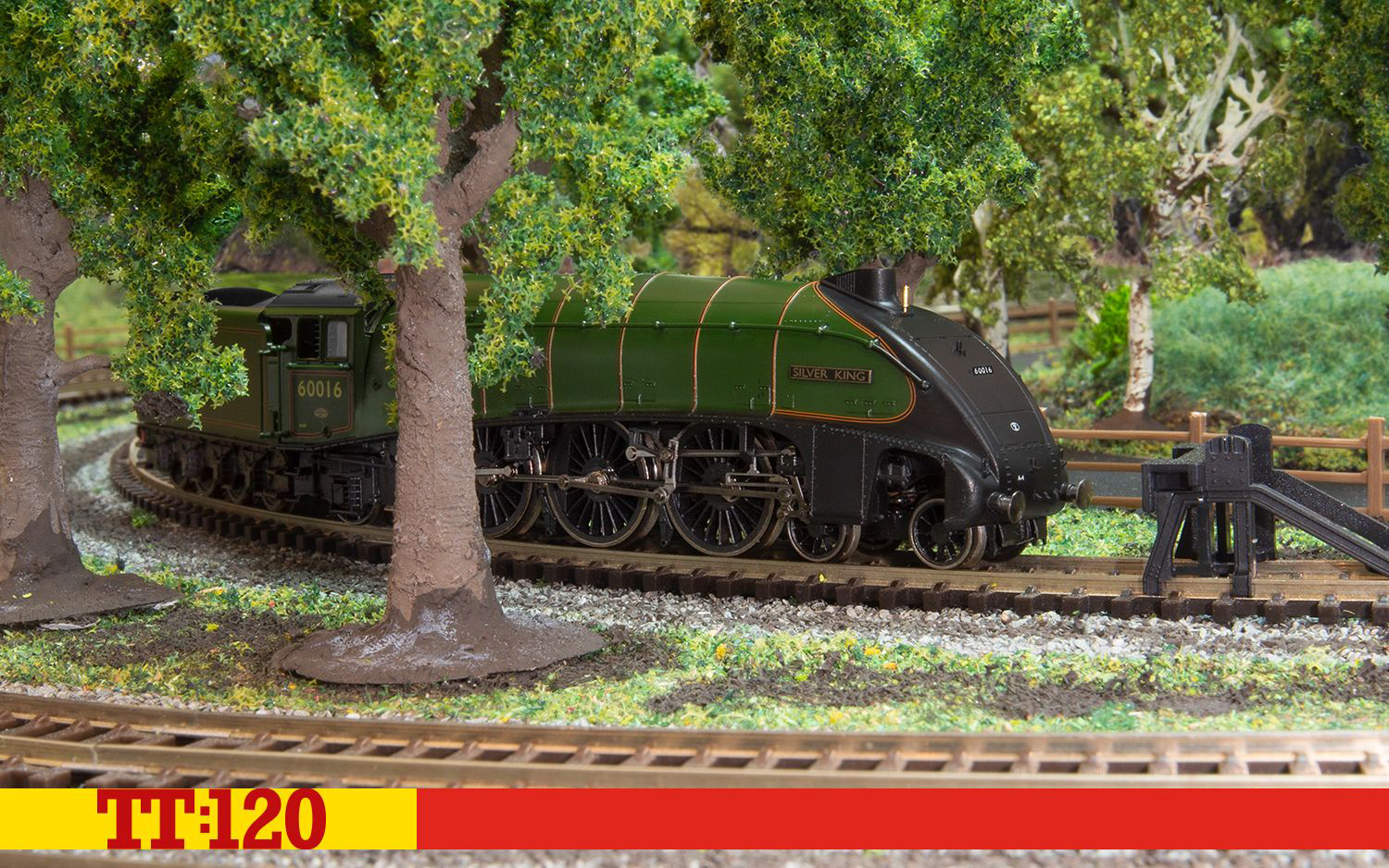 TT3008M BR Dampflok Class A4 4-6-2 Era 4