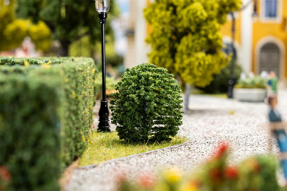 181594 10 Vorgartenbäume, Thuja, run