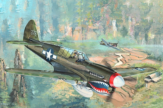 752212 Curtiss P-40N