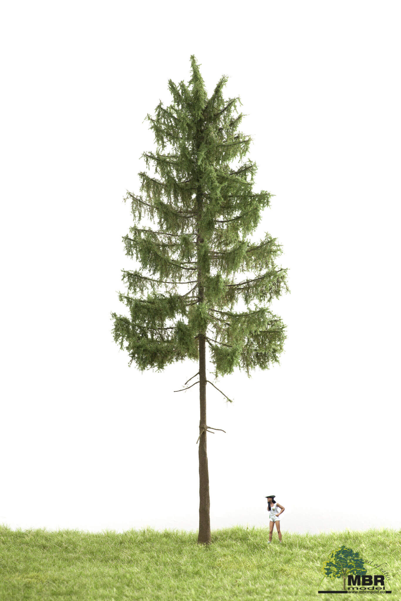 51-4405 Waldfichte 0