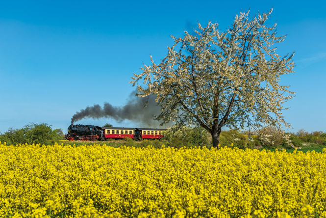 5978 Harzer Schmalspurbahnen 2027