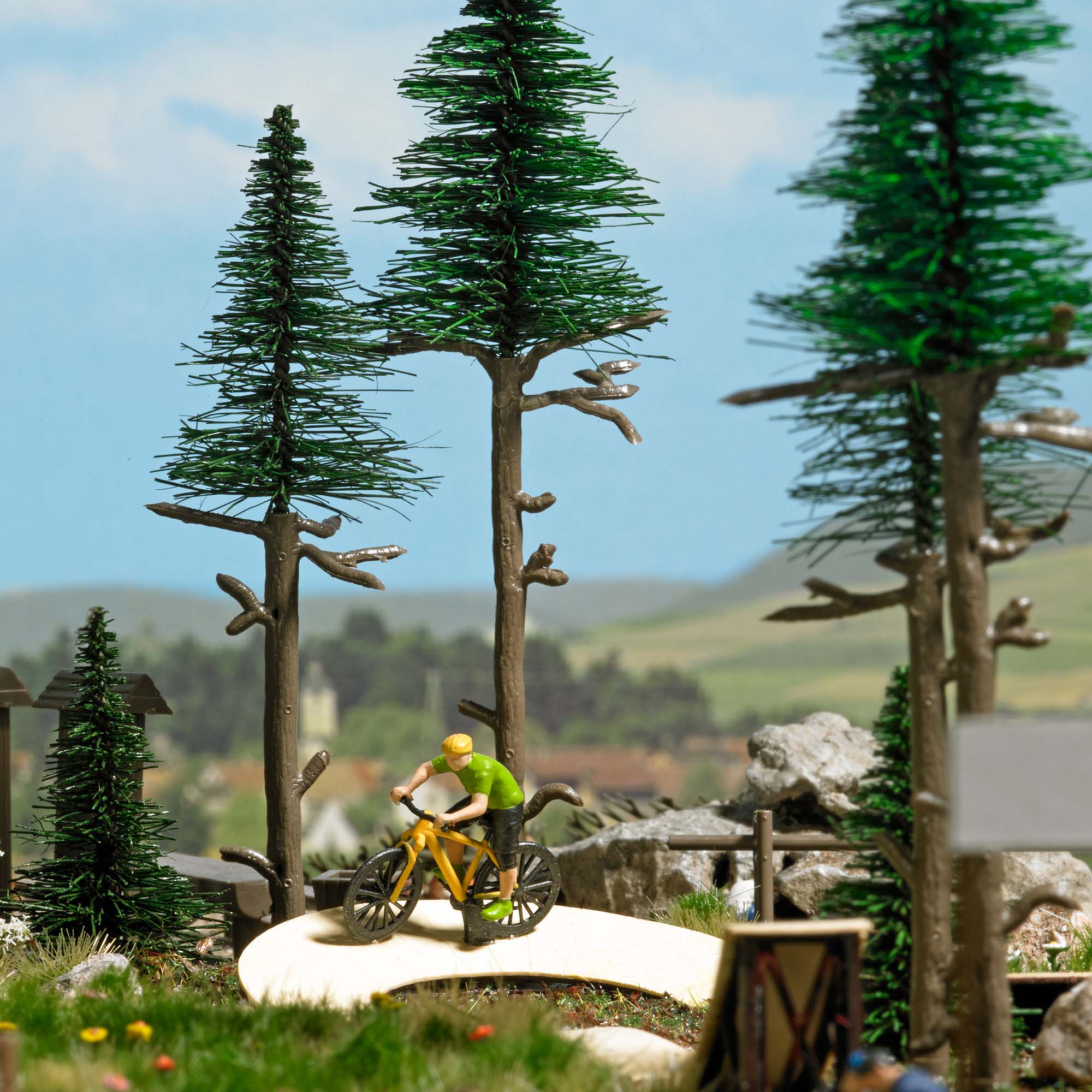 1838 Mountainbiker