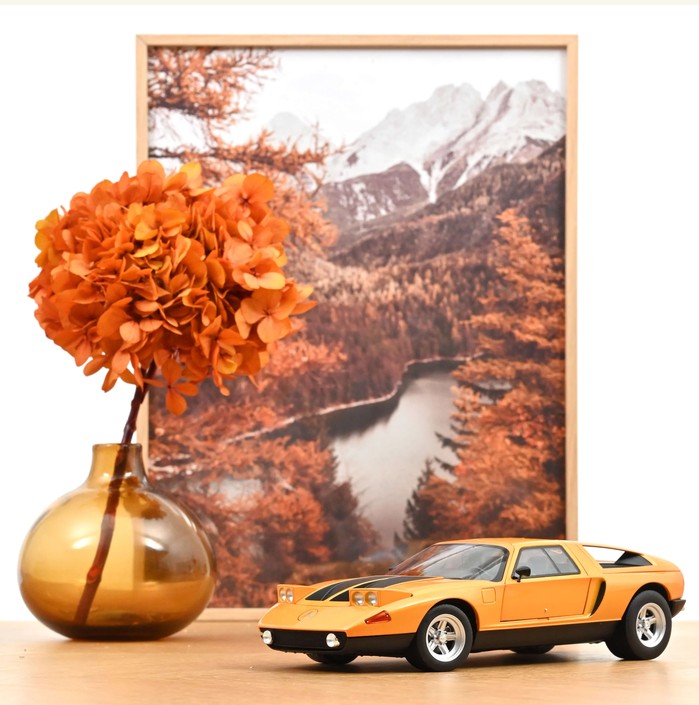 183050 MB C111/2 white autumn met. (1969)