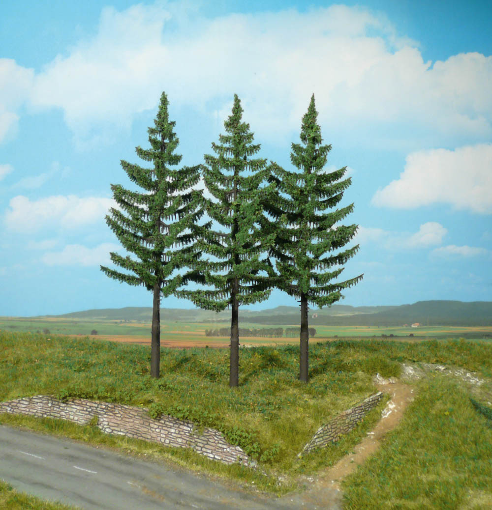 2128 3 Hochstammfichten 21 cm