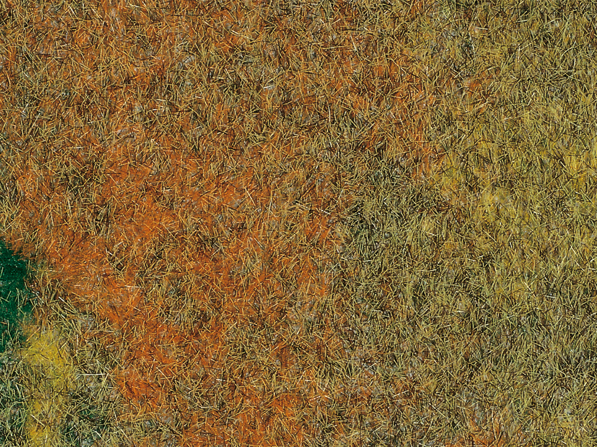 75116 Sommerwiesenmatte 35 x 50 cm