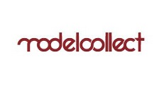 Modelcollect