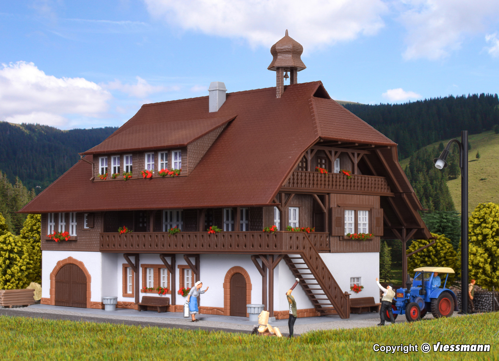 38074 Schwarzwald-Bauernhaus