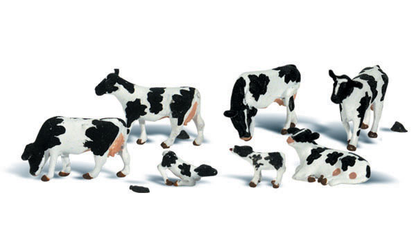 WA2187 N Holstein Cows
