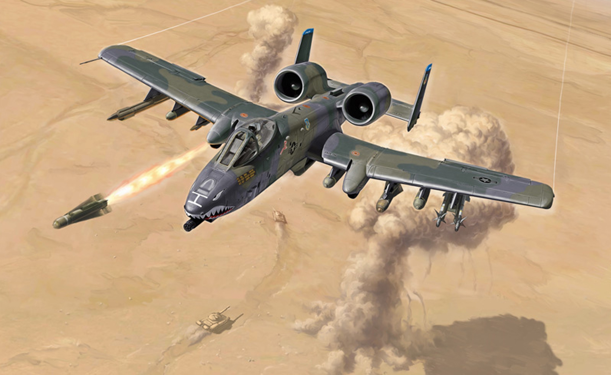 1376 A-10 Gulf War