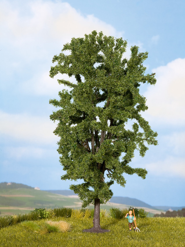 25895 Rosskastanie, 19 cm