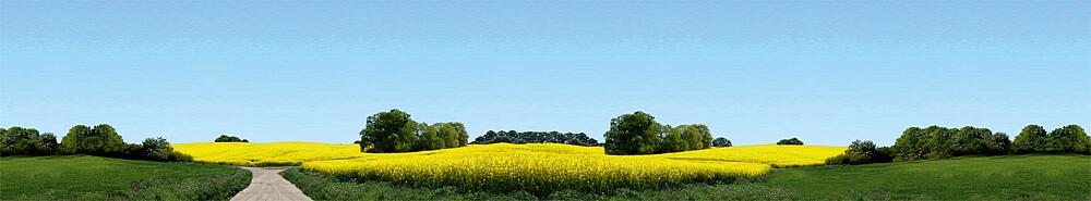 180504 Modellhintergrund Ostholstein 3-tlg
