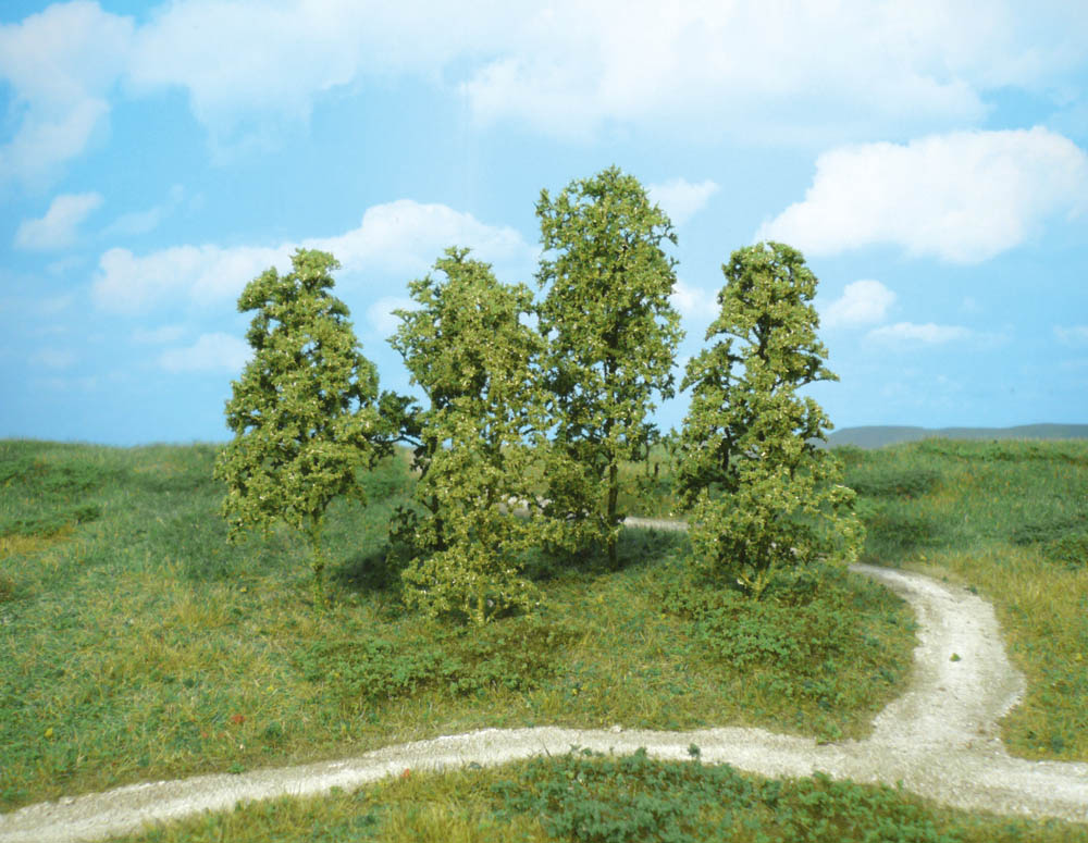 1641 12 Naturbäume mittelgrün