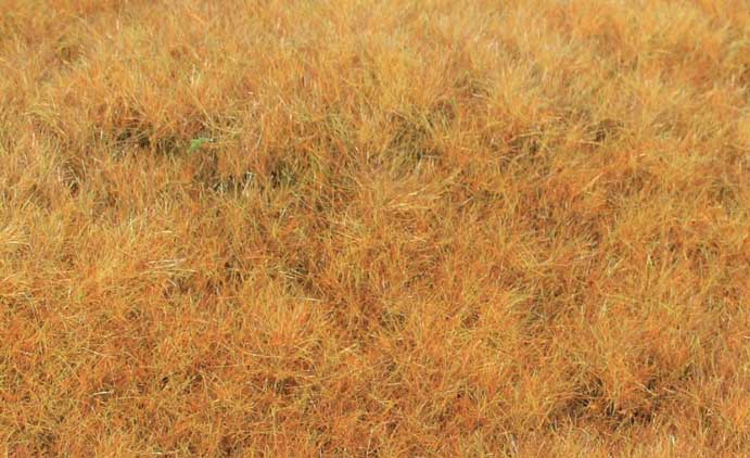 33544 Grasfaser Wildgras Frühherbst 75 g