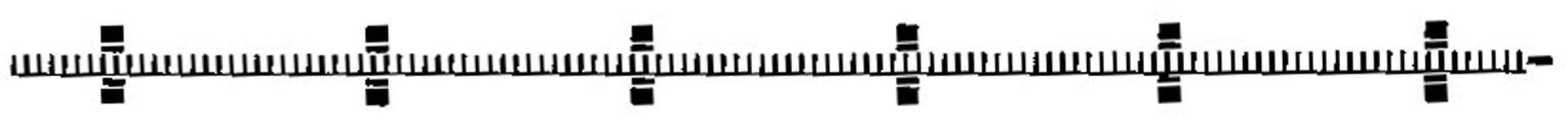 6412 Flexible Zahnstange