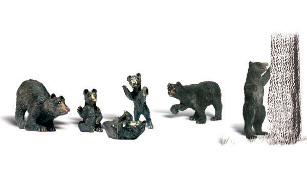 WA2737 Black Bears