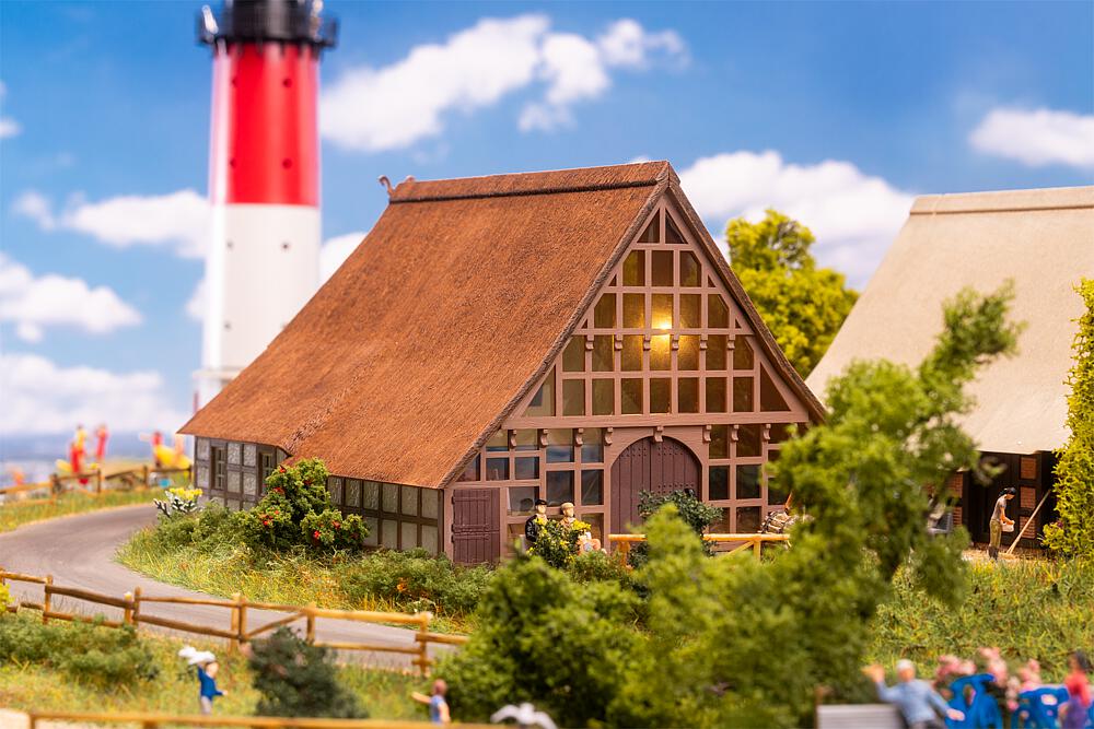 130674 Norddeutsches Reetdachhaus