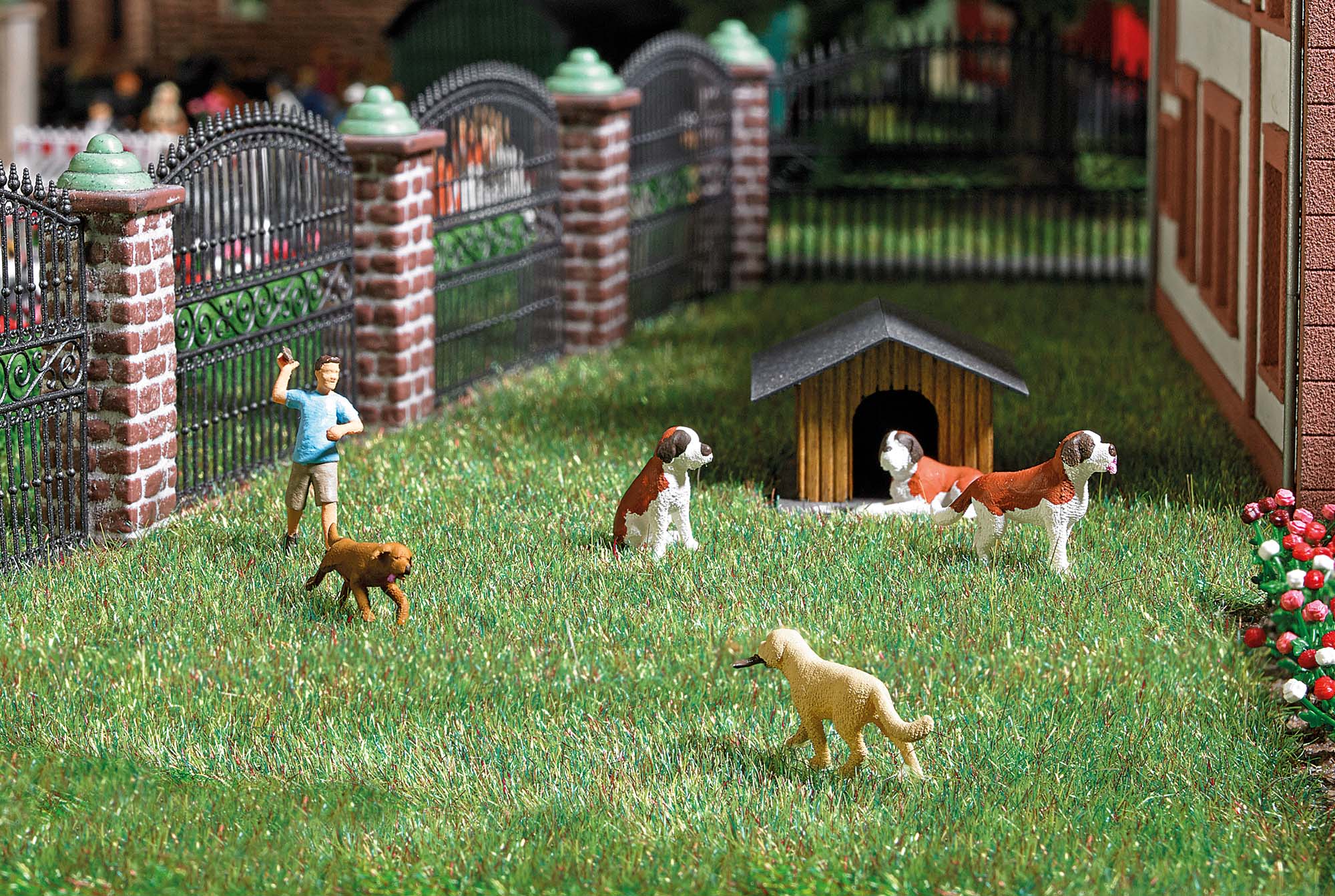 7896 Apportierspiel mit Hunden