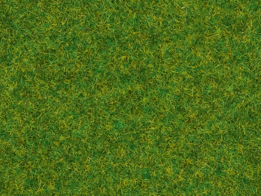 08214 Streugras Zierrasen
